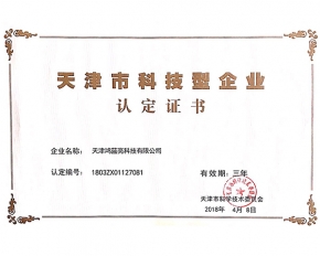 天津市科技型企业认证证书